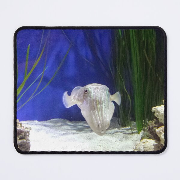Item preview, cuttlefish in a blue aquarium designed and sold by Lizzilzil.