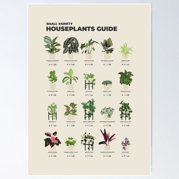 Item preview, Illustrated Small Variety Houseplants Chart designed and sold by aio.