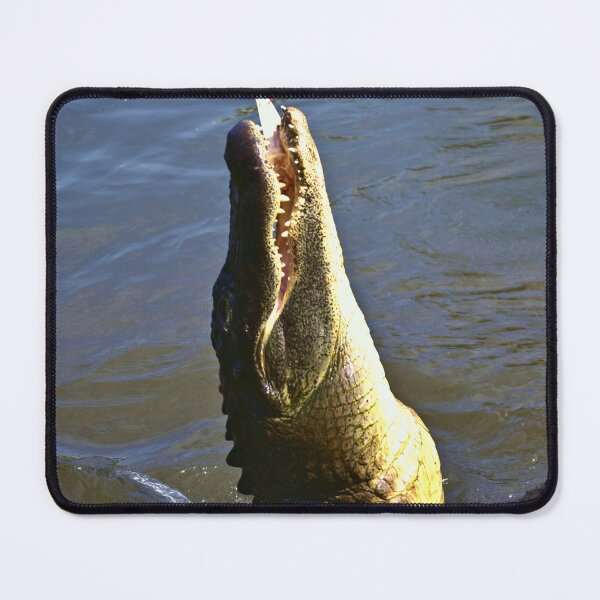 Item preview, Alligator Snatch designed and sold by MercerImages.