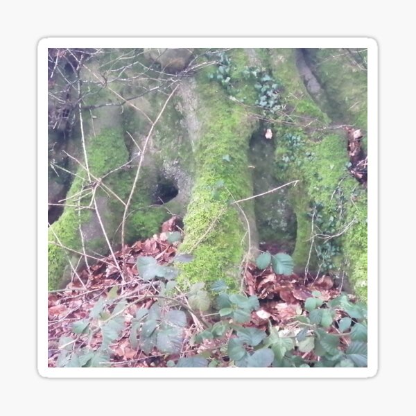 Find the Leprechaun Sticker