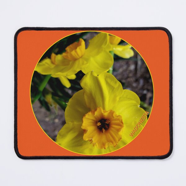 Item preview, Floral - Falconet Daffodil by Wagonesta designed and sold by Wagonesta.