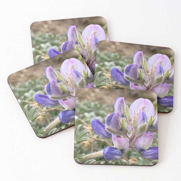 Item preview, Lupines  designed and sold by Betsy Phillips.