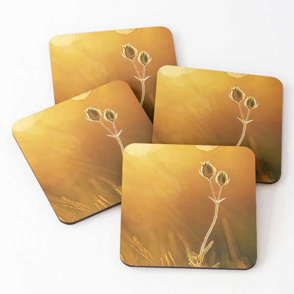 Item preview, Sunbathing designed and sold by andreisky.
