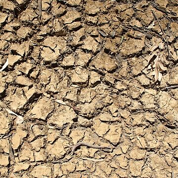 Artwork thumbnail, Cracked Earth in Dry Season by MagpieSprings