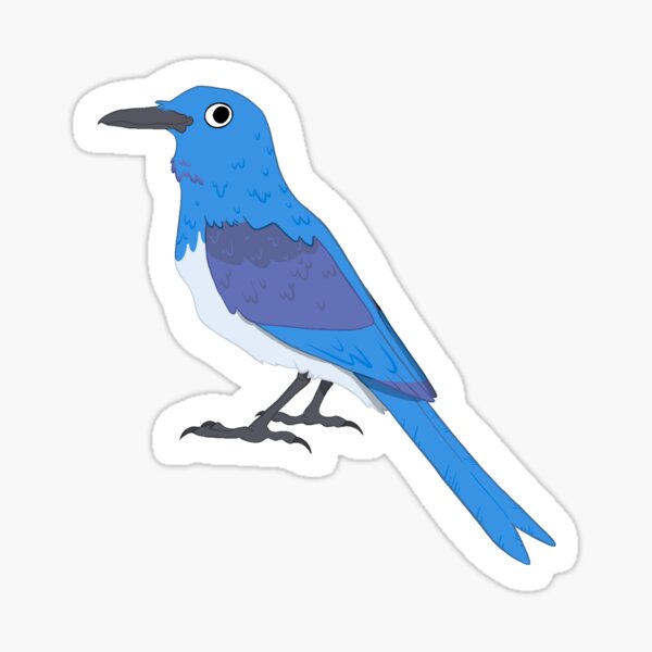 Artikel-Vorschau von Mexikanischer Jay Sticker, designt und verkauft von VultureMonarch.