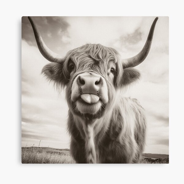 Item preview, Cheeky Highland Cow  designed and sold by wildtribe.