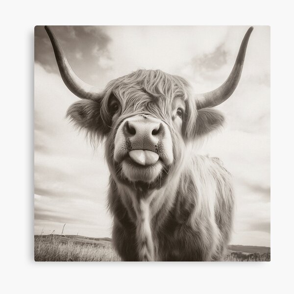 Item preview, Cheeky Highland Cow  designed and sold by wildtribe.