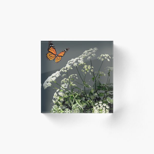 MONARCH BUTTERFLY & LACE FLOWERS Acrylic Block