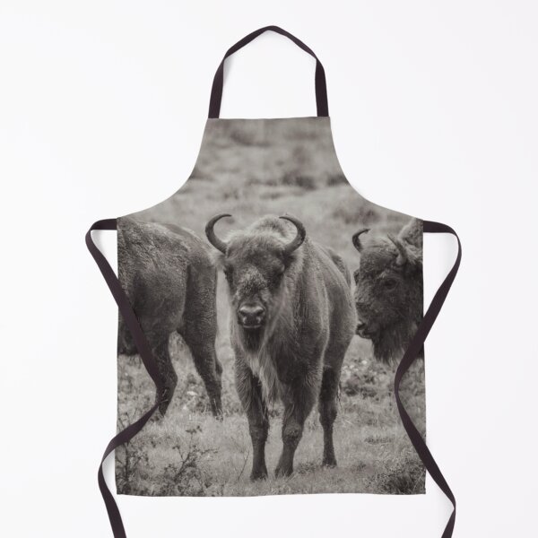 Artikelvorschau, Bison entworfen und verkauft von ShutterSmithArt.