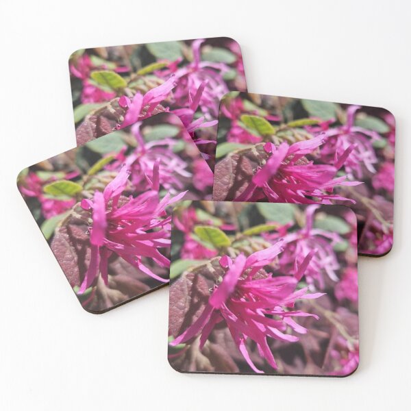 Item preview, pink Chinese fringe flower designed and sold by Lizzilzil.