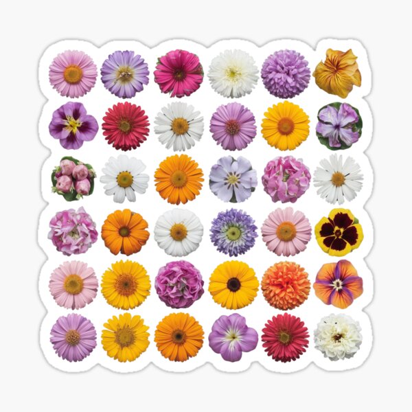 Artikel-Vorschau von Bunte Frühlingsblumen, designt und verkauft von wzetart.