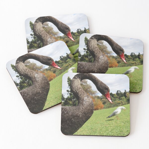 Item preview, Swan & Funny Seagull designed and sold by Lauren Elizabeth Photograhy AU.
