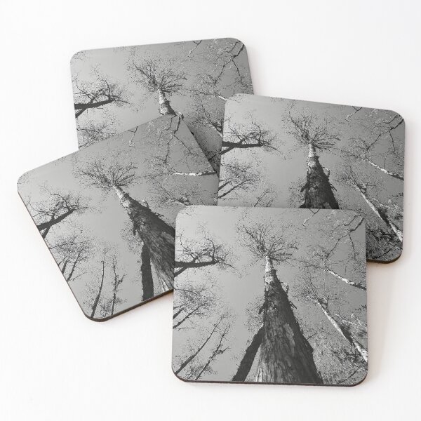 Item preview, Swamp Walk  designed and sold by MercerImages.