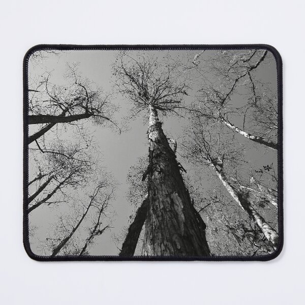 Item preview, Swamp Walk designed and sold by MercerImages.