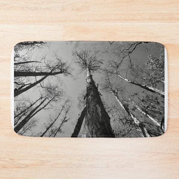 Item preview, Swamp Walk  designed and sold by MercerImages.