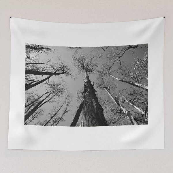 Item preview, Swamp Walk  designed and sold by MercerImages.