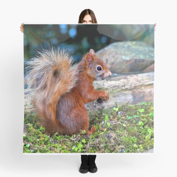 Item preview, Red Squirrel designed and sold by Theonebespoke.