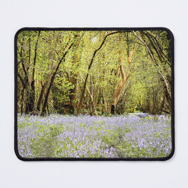 Item preview, English Bluebell Wood Foxley Wood Norfolk designed and sold by Jim Key.
