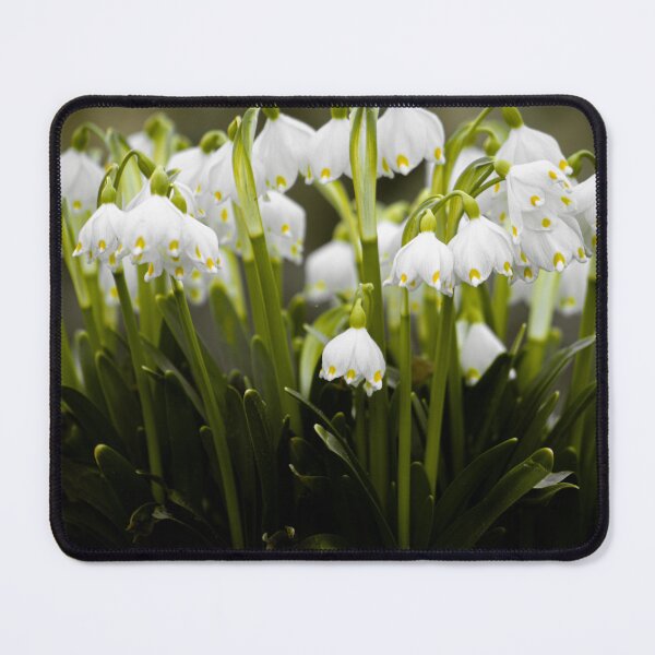 Item preview, Spring first flowers designed and sold by YarekPhoto.