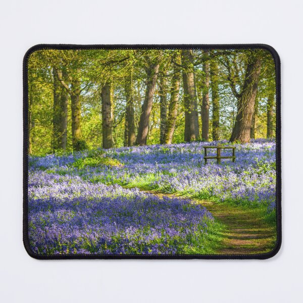 Item preview, Walk through the Bluebells designed and sold by Jim Key.