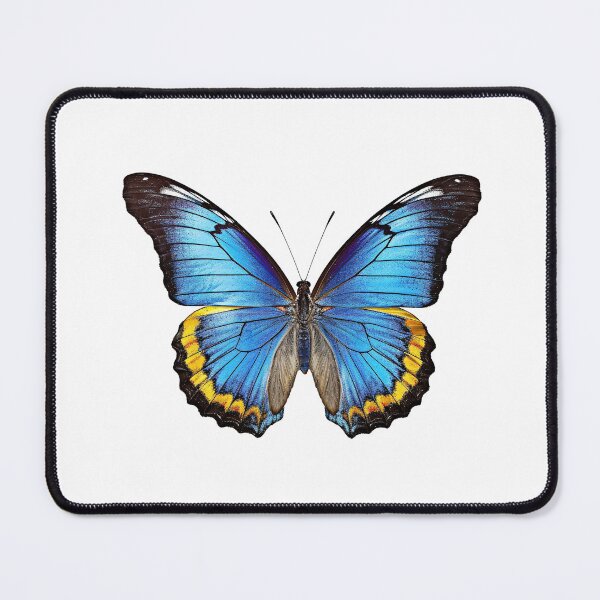 Item preview, Flat lay view of the butterfly designed and sold by MiraCleAI.