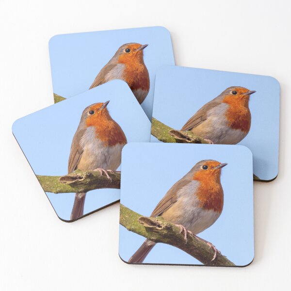 Item preview, Robin Perched on a Branch designed and sold by ADCImages.