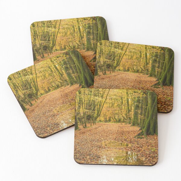 Item preview, Beech Woodland in Autumn designed and sold by Craig Joiner.