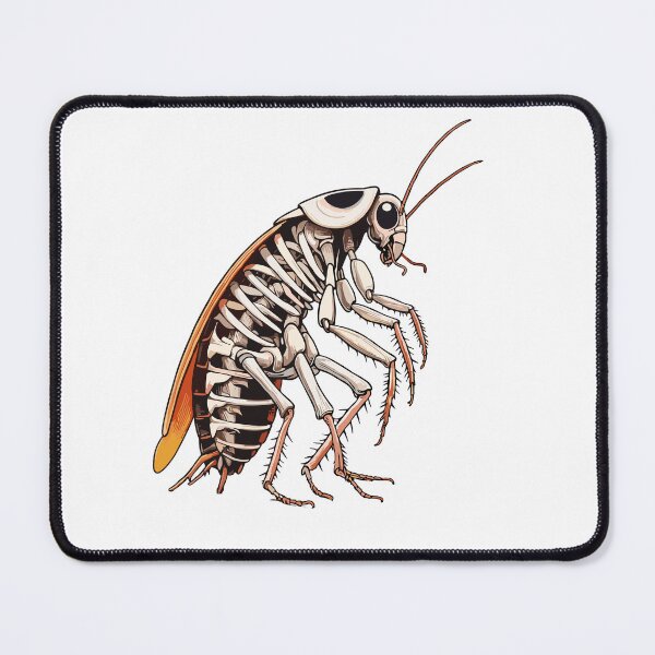 Item preview, X-ray Cockroach Body Anatomy Radiography Skeleton designed and sold by Artistoos.