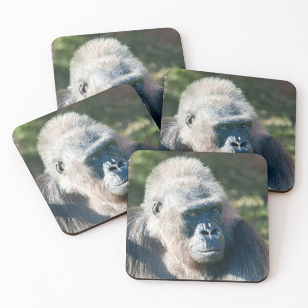 Item preview, Wise Gorilla Biddy in Close-Up Portrait designed and sold by rawshutterbug.