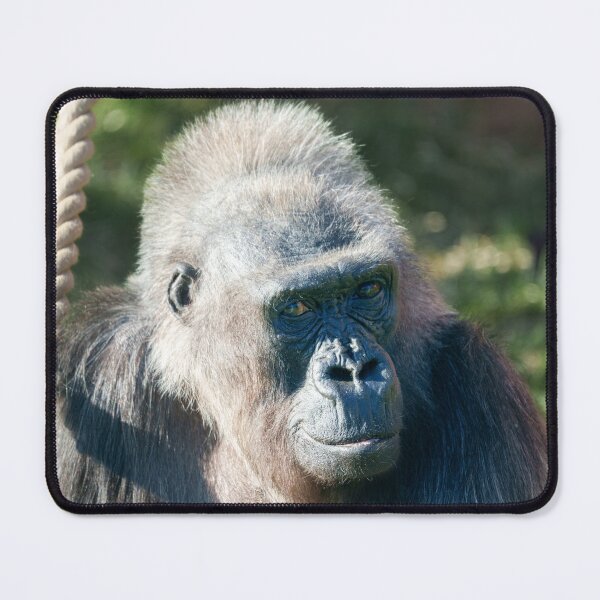 Item preview, Wise Gorilla Biddy in Close-Up Portrait designed and sold by rawshutterbug.