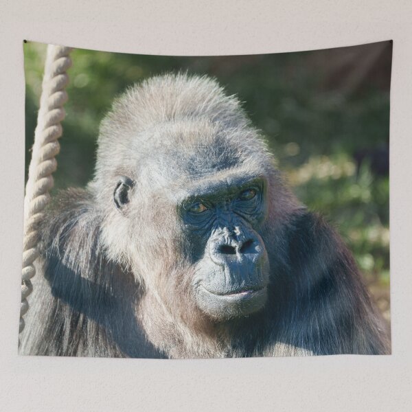 Item preview, Wise Gorilla Biddy in Close-Up Portrait designed and sold by rawshutterbug.