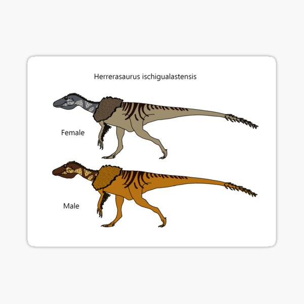 Item preview, Herrerasaurus  ischigualastensis designed and sold by TTorres45.