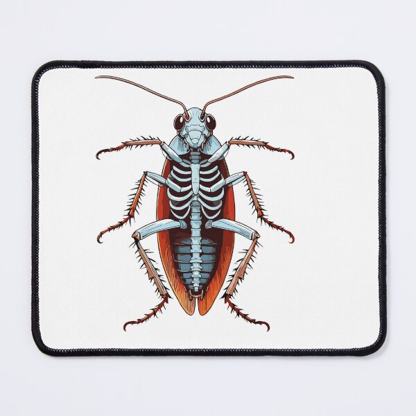 Item preview, X-ray Cockroach Body Anatomy Radiography Skeleton designed and sold by Artistoos.