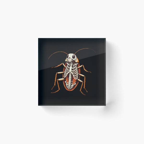 Item preview, X-ray Cockroach Body Anatomy Radiography Skeleton designed and sold by Artistoos.