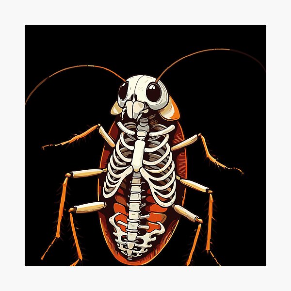 Artikel-Vorschau von Röntgenaufnahme des Körpers einer Kakerlake, Anatomie des Skeletts, designt und verkauft von Artistoos.