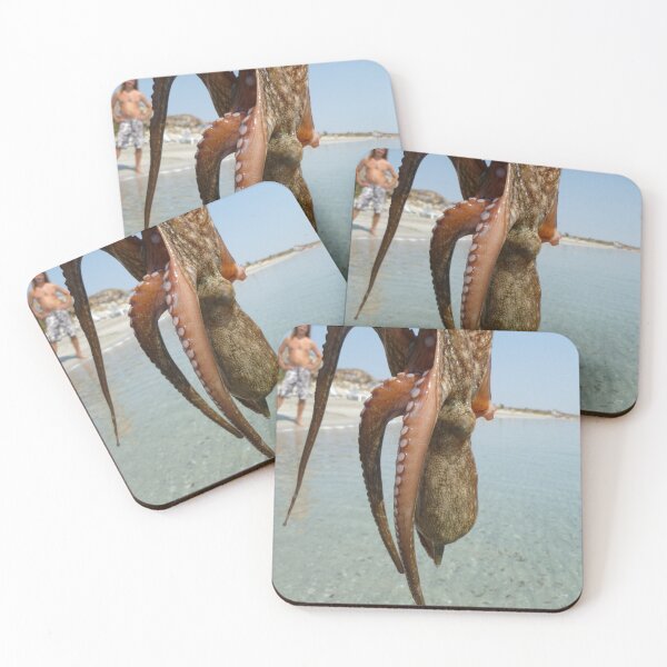 Item preview, Upsidedown Octopus  designed and sold by Vicki Spindler (VHS Photography).