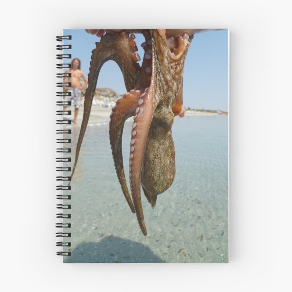 Item preview, Upsidedown Octopus  designed and sold by Vicki Spindler (VHS Photography).