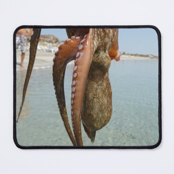 Item preview, Upsidedown Octopus  designed and sold by Vicki Spindler (VHS Photography).