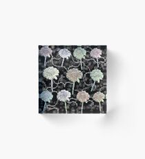 floral pattern Acrylic Block