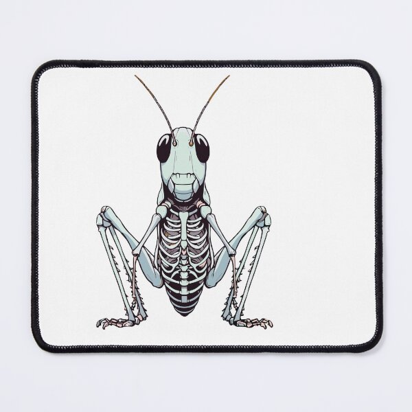 Item preview, X-ray Grasshopper Body Anatomy Radiography Skeleton designed and sold by Artistoos.