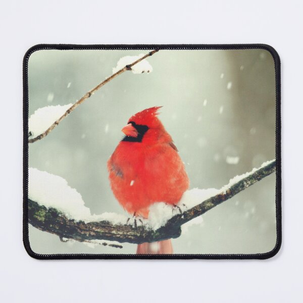 Item preview, Male Cardinal Sitting on Brach on Snowy Day designed and sold by CountyKent.