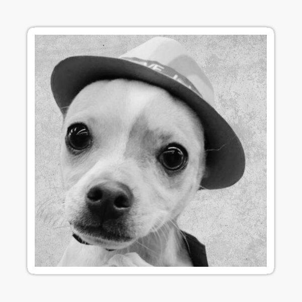 Item preview, Papi Chulo W/ Hat designed and sold by beckscre8tive.