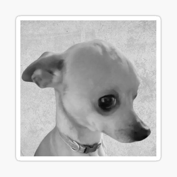 Item preview, Rico Suave Photo #1 designed and sold by beckscre8tive.