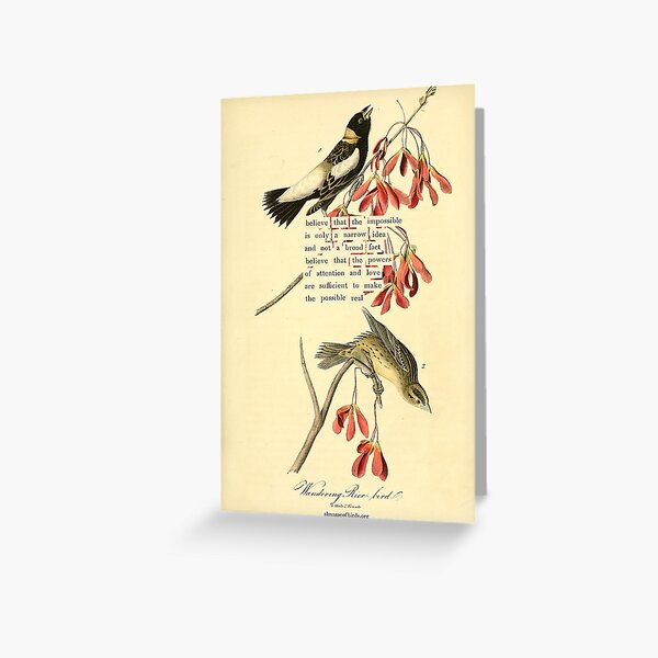 Item preview, Bird Divination: Wandering Ricebird (almanacofbirds.org) designed and sold by mariapopova.