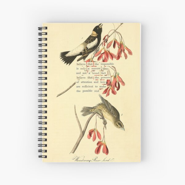 Item preview, Bird Divination: Wandering Ricebird (almanacofbirds.org) designed and sold by mariapopova.