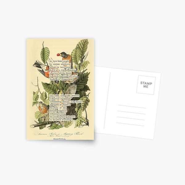 Item preview, Bird Divination: American Robin or Migratory Thrush (almanacofbirds.org) designed and sold by mariapopova.
