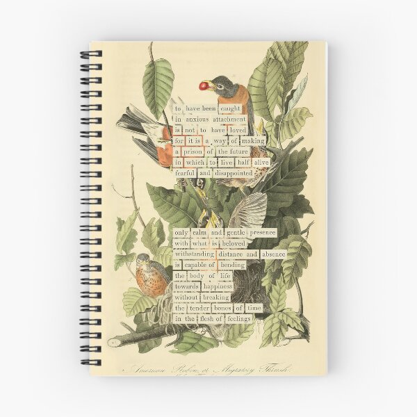 Item preview, Bird Divination: American Robin or Migratory Thrush (almanacofbirds.org) designed and sold by mariapopova.