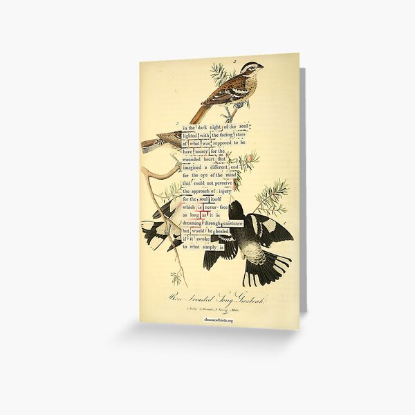Item preview, Bird Divination: Rose breasted Long Grossbeak (almanacofbirds.org) designed and sold by mariapopova.