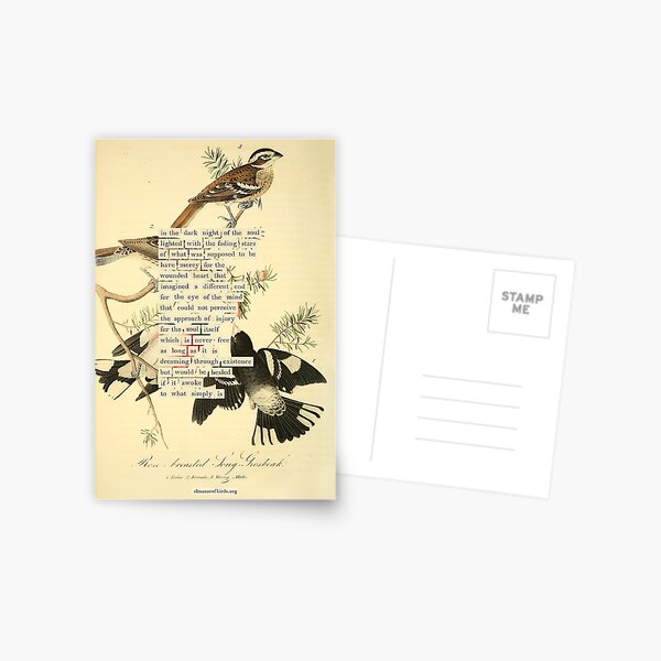 Item preview, Bird Divination: Rose breasted Long Grossbeak (almanacofbirds.org) designed and sold by mariapopova.