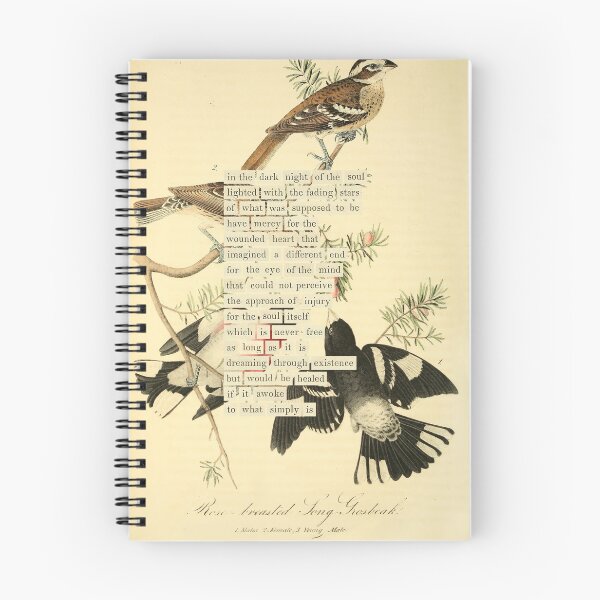 Item preview, Bird Divination: Rose breasted Long Grossbeak (almanacofbirds.org) designed and sold by mariapopova.